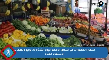 أسعار الخضروات في أسواق الأقصر اليوم الثلاثاء 29 يوليو وتوقعات الاستقرار القادم